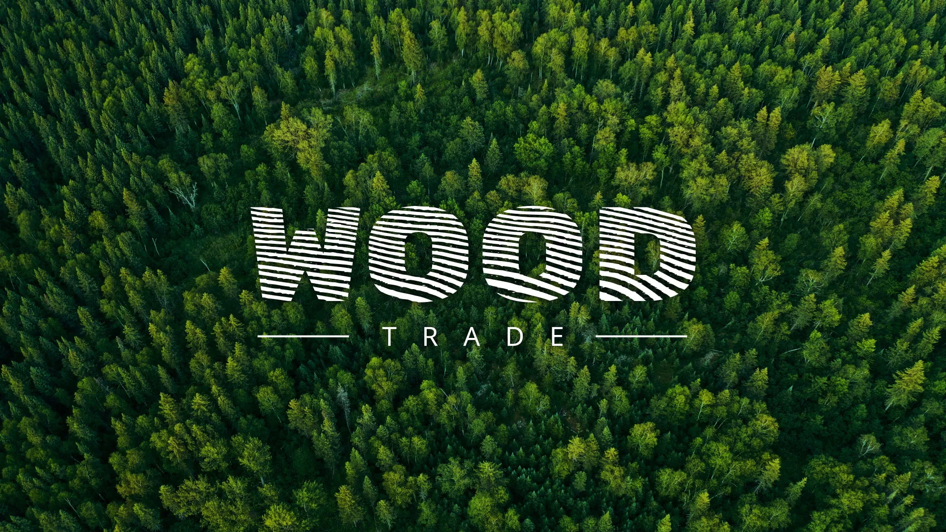 Разработка интернет-магазина компании «Wood Trade» в Костроме