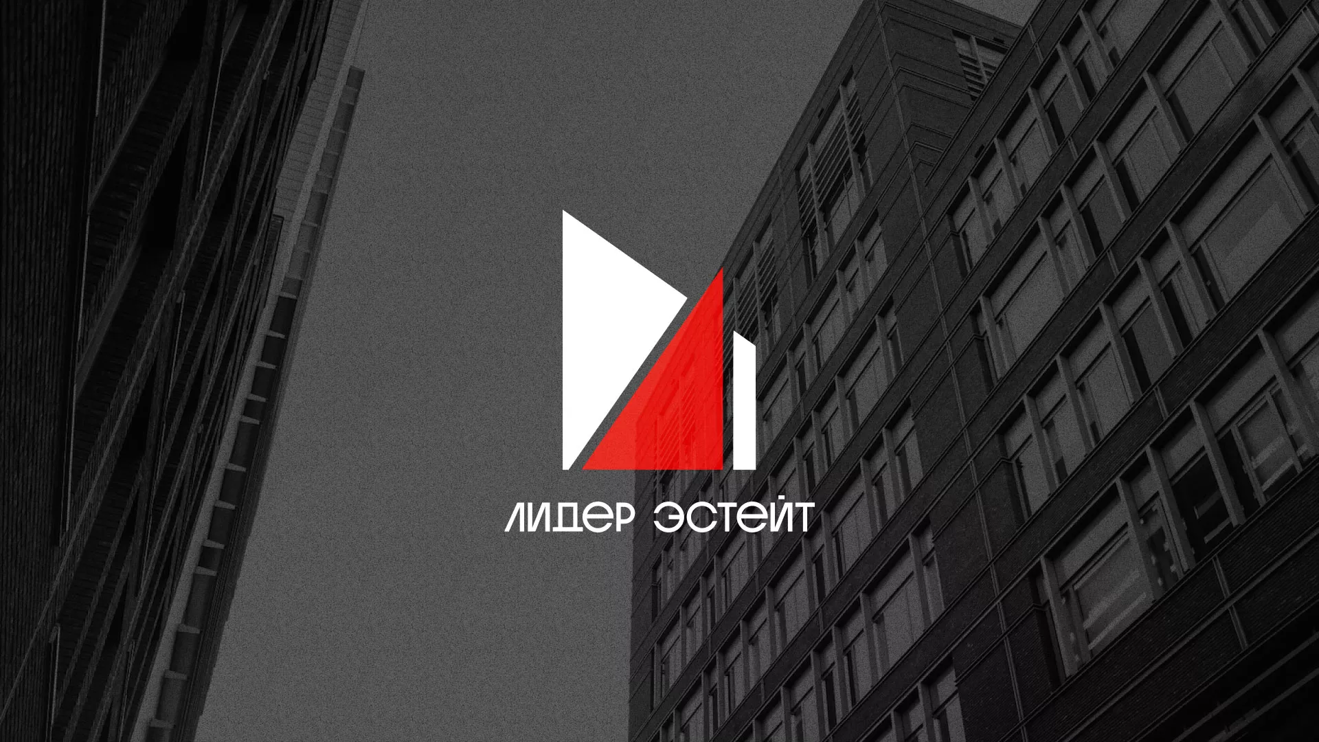 Сделали логотип для агентства недвижимости «Лидер Эстейт» в Костроме